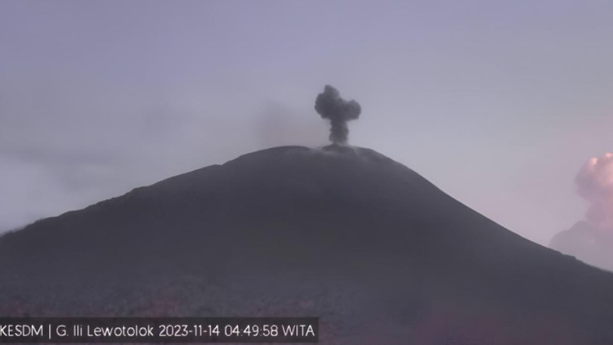 Erupsi Gunung Ili Lewotolok: Abu Vulkanik Mencapai Ketinggian 300 Meter saat Meletus Kembali