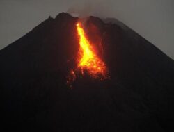 Gunung Merapi Melepas 16 Guguran Lava Hingga Jarak 1,5 Km ke Kali Bebeng