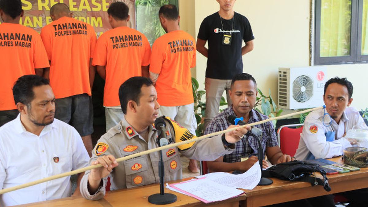 4 Orang Ditahan Polisi atas Kasus Penyelundupan Anak Komodo di Labuan Bajo, Nilainya Diperkirakan Puluhan Juta