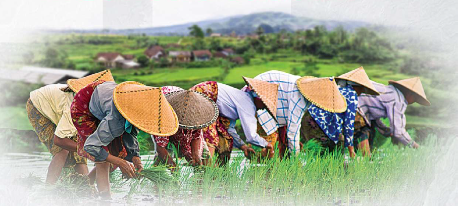 Solusi Paradoks Indonesia: Mengarah Menuju 100 Tahun Kemerdekaan Indonesia (Potensi Negara Kita)