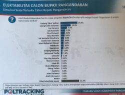 Prestasi Dadang Solihat di Poling Pilkada 2024 Mencapai Puncak