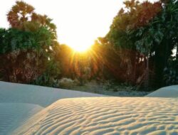 Pantai Oetune, Sebuah Surga Tersembunyi di Gurun Pasir Nusa Tenggara Timur