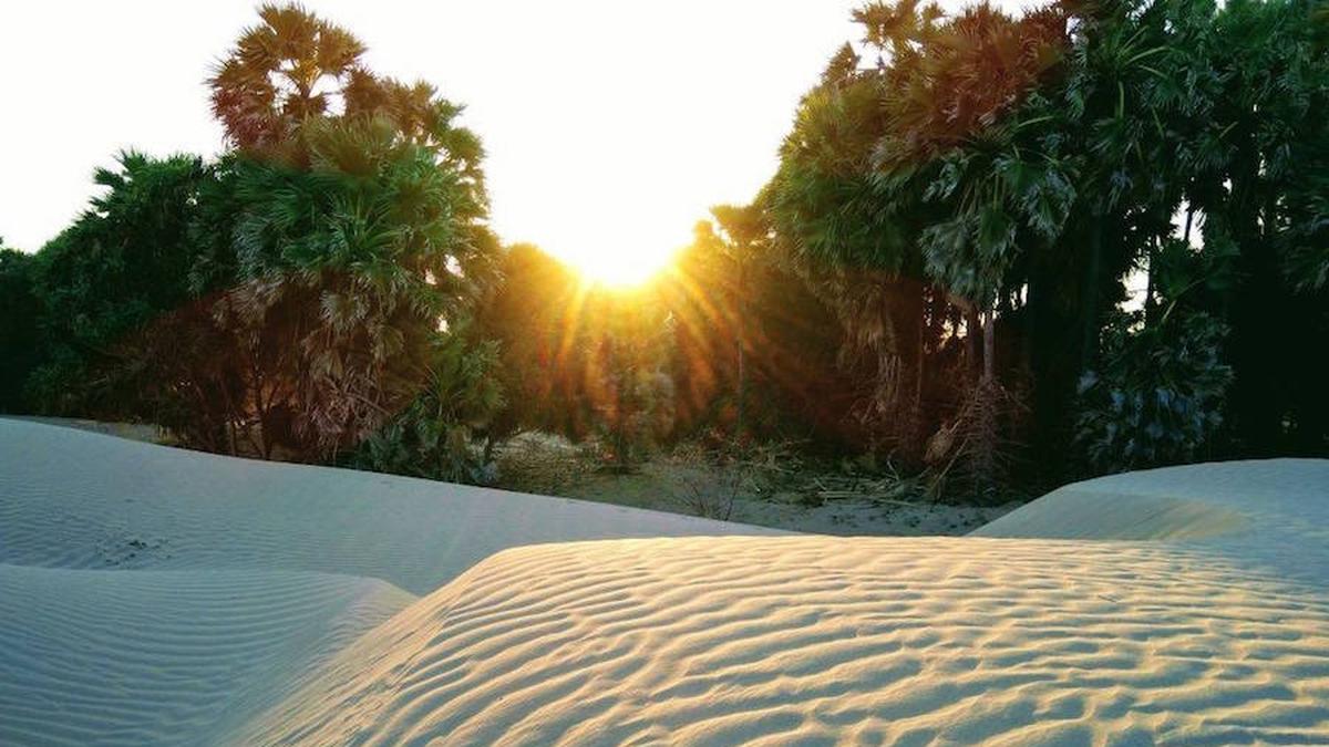 Pantai Oetune, Sebuah Surga Tersembunyi di Gurun Pasir Nusa Tenggara Timur