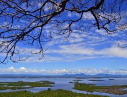 Menikmati Keindahan Danau Sentarum, Destinasi Wisata Alam yang Menawan di Kalimantan