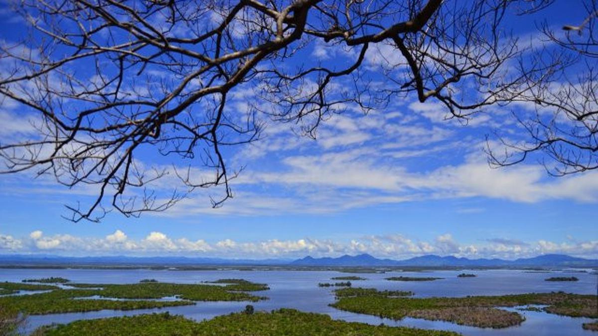 Menikmati Keindahan Danau Sentarum, Destinasi Wisata Alam yang Menawan di Kalimantan