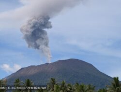 Gunung Ibu Meletus Kembali, Mengeluarkan Abu Vulkanik Hingga 1.000 Meter ke Arah Utara