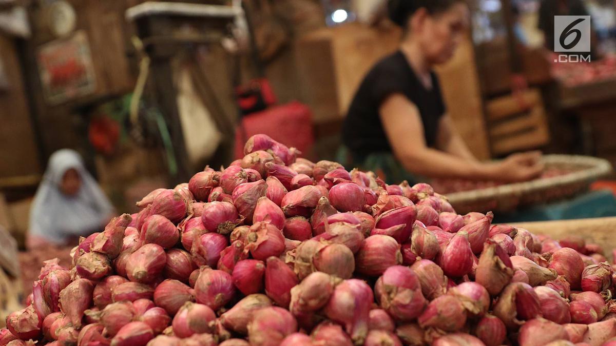 Petani Bantul Bahagia saat Panen Bawang Merah Berkilau di Luas Tanah 125 Ha