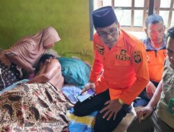 Penebang Kayu Hutan diserang oleh Harimau, BBKSDA Riau: Lokasi Perlintasan Harimau