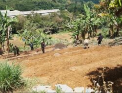 Agroforestri dan Sertifikasi Organik di Arista Montana oleh Andy Utama