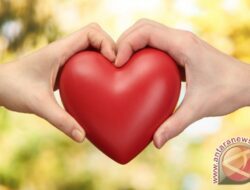 Pengertian dan Perbedaan Antara Perasaan Cinta dan Sayang