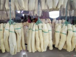 Manfaat Tape Singkong untuk Kesehatan dan Efek Sampingnya